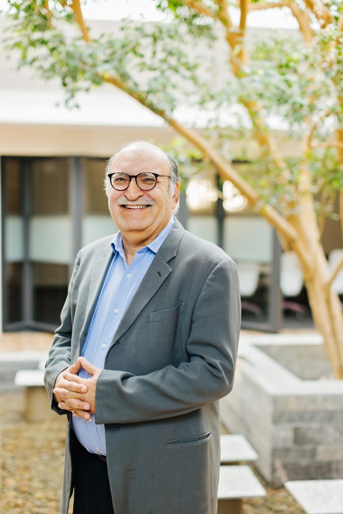 dr-steven-stein-completely-customized